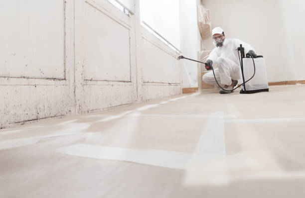 24/7 Emergency Attic Mold Removal experts in Tempe, AZ
